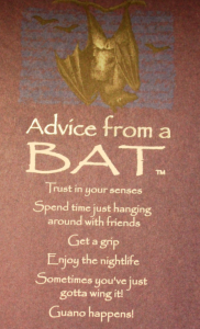 Advice_Bat